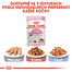 ROYAL CANIN Kitten Instinctive Gravy 85g kapsička pro koťata ve šťávě