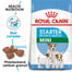 ROYAL CANIN Mini Starter Mother&Babydog  3 kg granule pro březí nebo kojící feny a štěňata