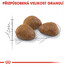 ROYAL CANIN Outdoor 7+ 10 kg granule pro stárnoucí kočky s častým pohybem venku