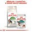 ROYAL CANIN Outdoor 7+ 10 kg granule pro stárnoucí kočky s častým pohybem venku