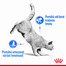 ROYAL CANIN Light Weight Care 10 kg dietní granule pro kočky