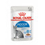 ROYAL CANIN Indoor Sterilised In Jelly Pouch 12x 85g