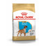 ROYAL CANIN Boxer Puppy 3 kg granule pro štěně boxera