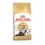 ROYAL CANIN Persian  Adult 10 kg + 2 kg gratis granule pro perské kočky