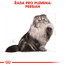 ROYAL CANIN Persian  Adult 10 kg + 2 kg gratis granule pro perské kočky