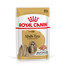ROYAL CANIN Shih Tzu Adult Loaf 85g kaspička pro shih tzu