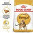 ROYAL CANIN Bengal Adult 400g granule pro bengálské kočky