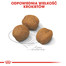 ROYAL CANIN Giant Puppy 3,5 kg granule pro obří štěňata