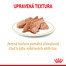 ROYAL CANIN Shih Tzu Adult Loaf 85g kaspička pro shih tzu