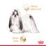 ROYAL CANIN Shih Tzu Adult Loaf 12 x 85 g kapsičky s paštikou pro Shih Tzu