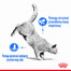 ROYAL CANIN ULTRA LIGHT 85 g v omáčce x 12