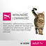PERFECT FIT Cat Adult 1+ masové kapsičky 4*85 g