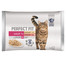 PERFECT FIT Cat Adult 1+ masové kapsičky 4*85 g