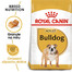 ROYAL CANIN Bulldog Adult granule pro dospělého buldoka 2 x 12 kg