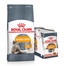 ROYAL CANIN Hair&Skin Care 10 kg + kapsičky Intense BEAUTY 85 g x 12