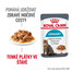 ROYAL CANIN Urinary Care 12 x 85g