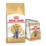ROYAL CANIN British Shorthair suché krmivo pro dospělé kočky 10 kg + kapsičky 12x85 g
