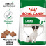 ROYAL CANIN Mini Adult 8+ 2 x 8 kg granule pro stárnoucí malé psy