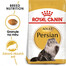 ROYAL CANIN Persian Adult 2 x 10kg granule pro dospělé perské kočky