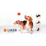 LIKER Dog toy míček pro psy 7 cm