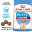 ROYAL CANIN Medium Puppy 10 kg granule pro střední štěňata