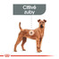 ROYAL CANIN Medium dental care 1 kg Omezení tvorby zubního kamene