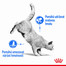 ROYAL CANIN Light Weight Care 2 x 10 kg dietní granule pro kočky