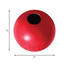 KONG Ball M/L Míč pro psy