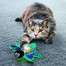 KONG Cat Bat-A-Bout Flicker Firefly świecąca hračka pro kočku