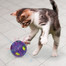 KONG Bat-A-Bout Flicker Disco Svítící míč s catnipem pro kočku