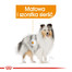 ROYAL CANIN Coat Care -kapsičky pro dospělé psy s matnou srstí 12 x 85 g