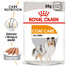 ROYAL CANIN Coat Care -kapsičky pro dospělé psy s matnou srstí 12 x 85 g