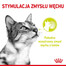 ROYAL CANIN Sensory Multipack – Smell/Feel/Taste 12x85 g kousky ve šťávě pro dospělé kočky
