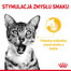 ROYAL CANIN Sensory Multipack – Smell/Feel/Taste 12x85 g kousky ve šťávě pro dospělé kočky