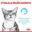 ROYAL CANIN Sensory Multipack – Smell/Feel/Taste 12x85 g kousky ve šťávě pro dospělé kočky