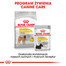 ROYAL CANIN Medium Dermacomfort 12 kg granule pro střední psy s problémy s kůží