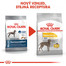 ROYAL CANIN Medium Dermacomfort 12 kg granule pro střední psy s problémy s kůží