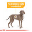 ROYAL CANIN Medium Dermacomfort 12 kg granule pro střední psy s problémy s kůží