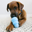 KONG Snacks Puppy Sušenky s příchutí kuřete s ryżem pro štěňata g