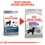 ROYAL CANIN Maxi Sterilised pro psy s citlivým zažívacím traktem 12 kg