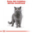 ROYAL CANIN British Shorthair vlhké krmivo v omáčce pro dospělé britské krátkosrsté kočky