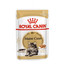 ROYAL CANIN Maine Coon Adult vlhké krmivo v omáčce pro dospělé mainské mývalí kočky