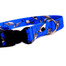 FERA Obojek s plastovou sponou Shark 24-40 cm 15 mm