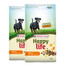 VERSELE-LAGA Happy life krmivo pro dospělé psy s hovězím masem 30 kg (2 x 15 kg)
