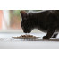 ZIWIPEAK Cat Air Dried Food zvěřina 400 g