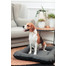 FERA Sunset Ponton pelech pro psaXL 114 x 83 x 10 cm