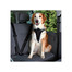 TRIXIE Bezpečnostní pás do auta  pro psa ( M ) 50–65 cm / 20 mm