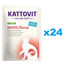 KATTOVIT Feline Diet Niere/Renal Krůtí 24 x 85 g