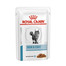 ROYAL CANIN Veterinary Health Nutrition Cat Skin & Coat Pouch 24 x 85g