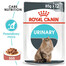 ROYAL CANIN Urinary Care 24 x 85g
